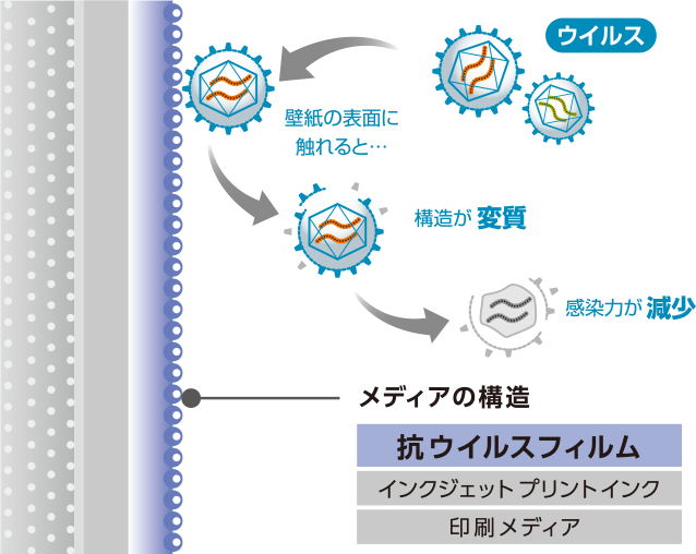 抗ウイルスラミネートは抗菌製品技術協議会の抗ウイルスSIAAマークを取得しています